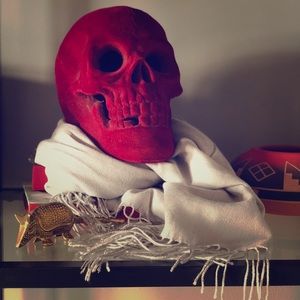 Light gray pashmina scarf 🧣